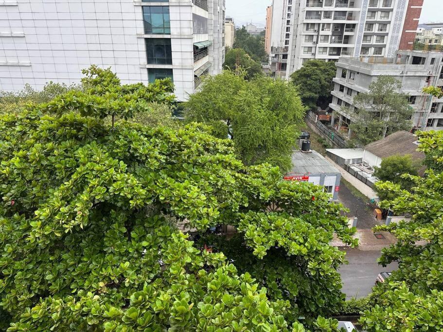 Apartment Casa Bella Private With Balcony Garden With Wifi Ac Smart Tv Kitchenette Work Desk